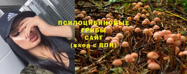 каннабис Осташков