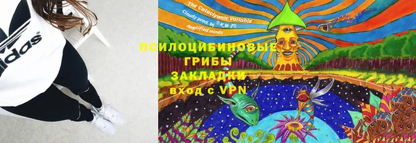 mdpv Осинники