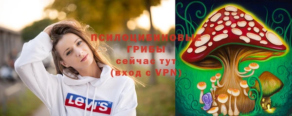 хмурый Болохово