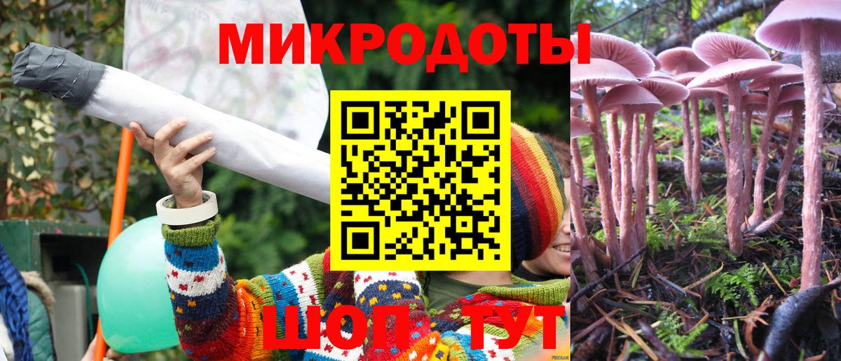 Псилоцибиновые грибы MAGIC MUSHROOMS Старая Русса